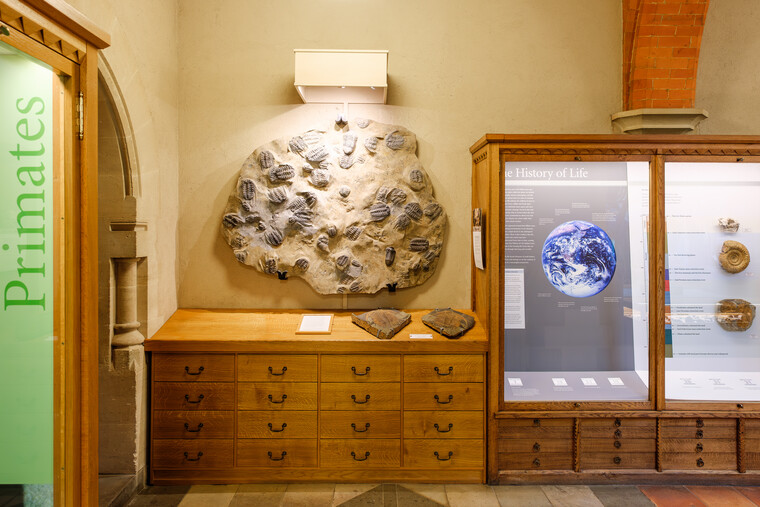 UK May '22 - Oxford 028.jpg